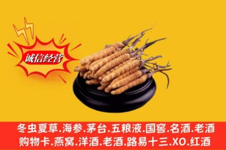 萨迦县求购回收虫草多少钱每克